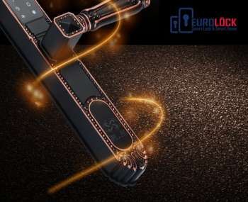 Khóa vân tay cổng sắt