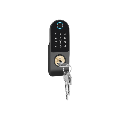Khóa vân tay cổng sắt 2 mặt Eurolock R1-2